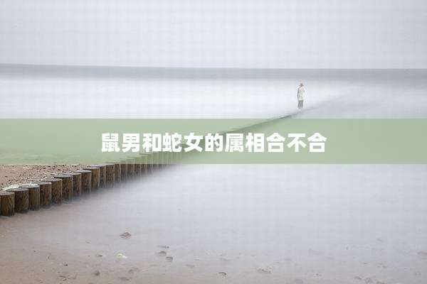鼠男和蛇女的属相合不合