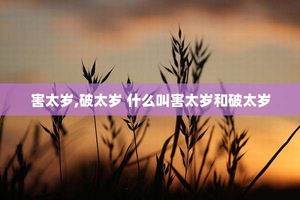 害太岁,破太岁 什么叫害太岁和破太岁