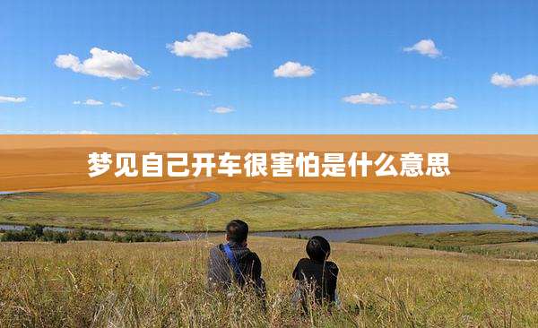 梦见自己开车很害怕是什么意思