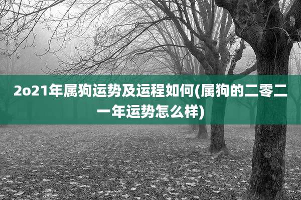 2o21年属狗运势及运程如何(属狗的二零二一年运势怎么样)