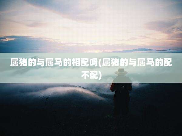 属猪的与属马的相配吗(属猪的与属马的配不配)