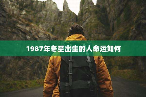 1987年冬至出生的人命运如何