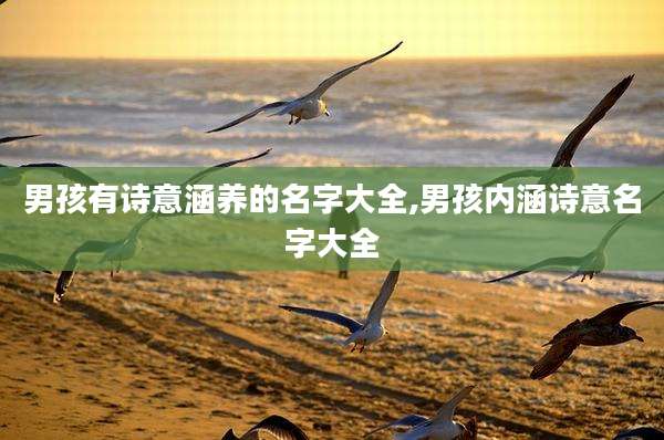 男孩有诗意涵养的名字大全,男孩内涵诗意名字大全