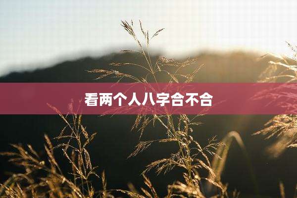 看两个人八字合不合