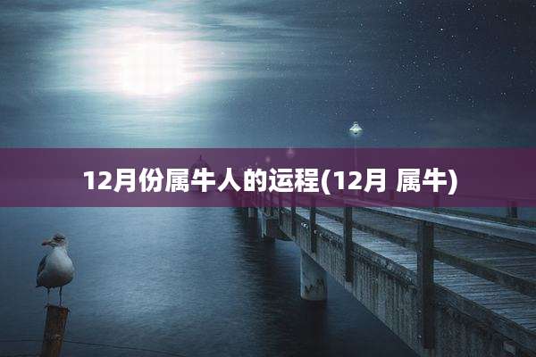 12月份属牛人的运程(12月 属牛)