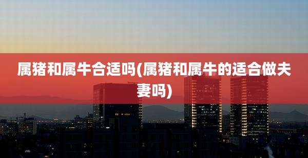 属猪和属牛合适吗(属猪和属牛的适合做夫妻吗)