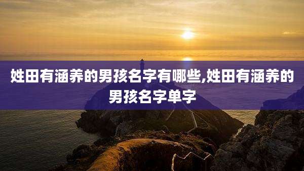 姓田有涵养的男孩名字有哪些,姓田有涵养的男孩名字单字