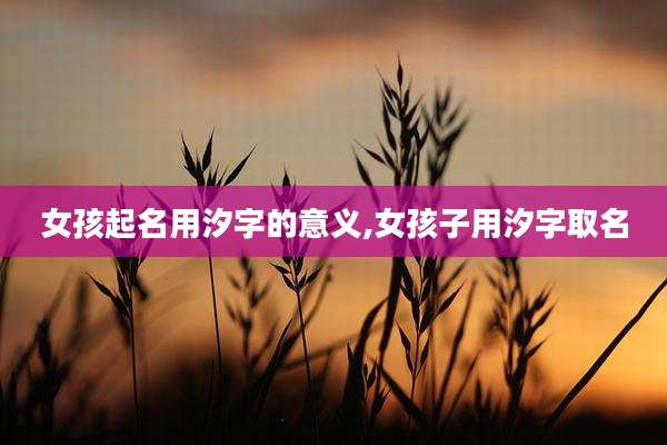 女孩起名用汐字的意义,女孩子用汐字取名