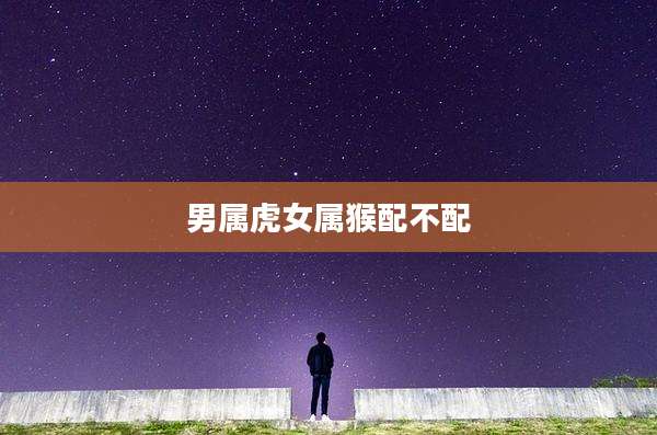 男属虎女属猴配不配