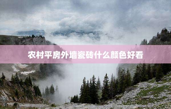 农村平房外墙瓷砖什么颜色好看