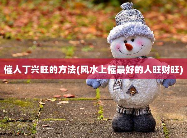 催人丁兴旺的方法(风水上催最好的人旺财旺)