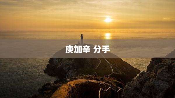 庚加辛 分手