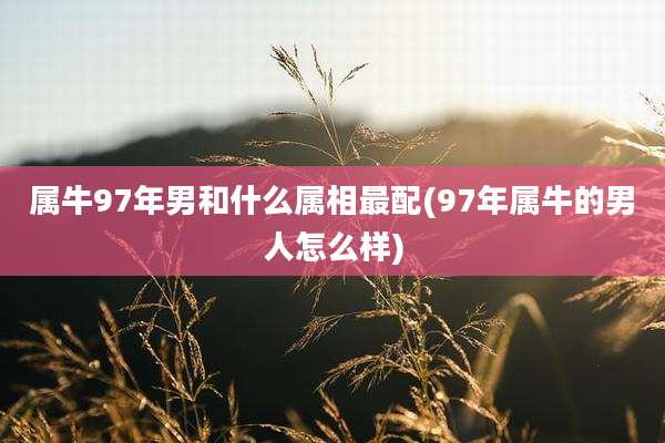 属牛97年男和什么属相最配(97年属牛的男人怎么样)