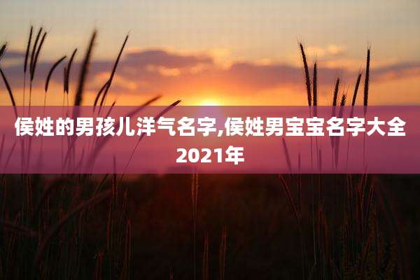 侯姓的男孩儿洋气名字,侯姓男宝宝名字大全2021年