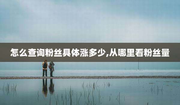 怎么查询粉丝具体涨多少,从哪里看粉丝量