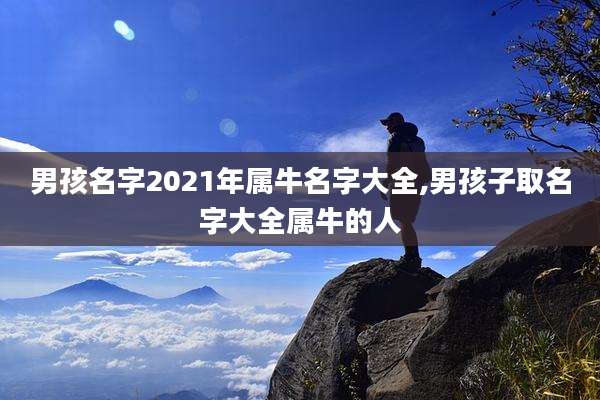 男孩名字2021年属牛名字大全,男孩子取名字大全属牛的人