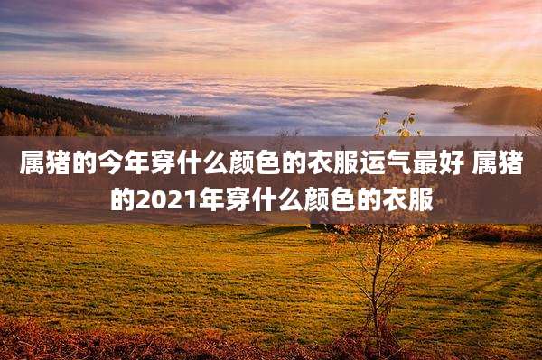 属猪的今年穿什么颜色的衣服运气最好 属猪的2021年穿什么颜色的衣服