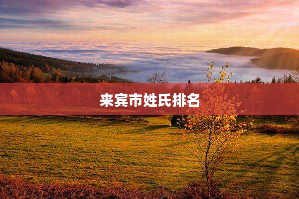 来宾市姓氏排名