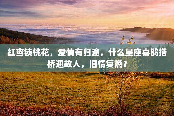 红鸾锁桃花，爱情有归途，什么星座喜鹊搭桥迎故人，旧情复燃？