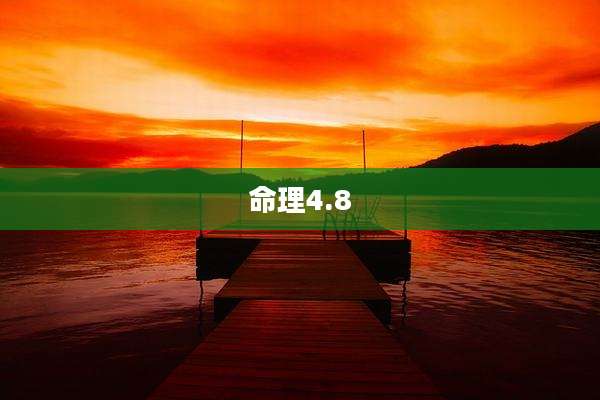 命理4.8