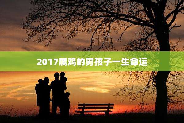 2017属鸡的男孩子一生命运