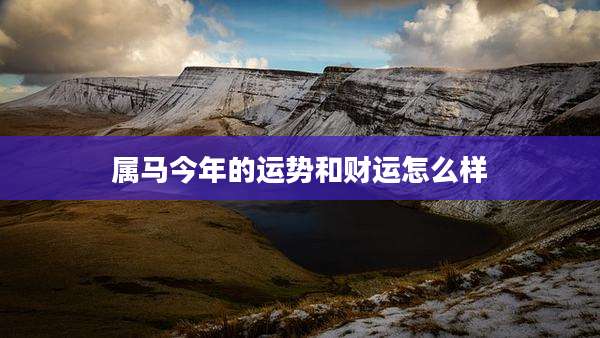 属马今年的运势和财运怎么样