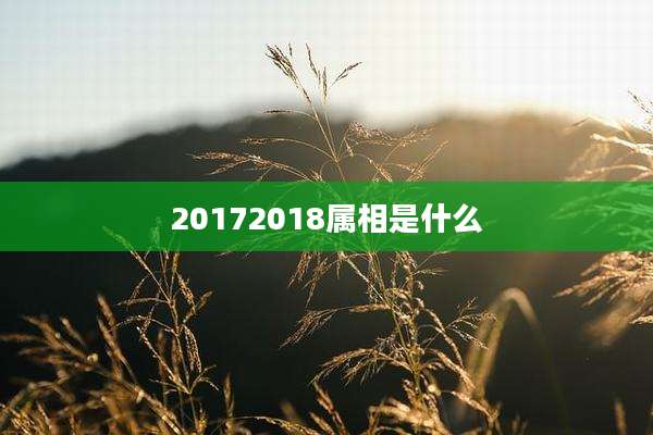 20172018属相是什么