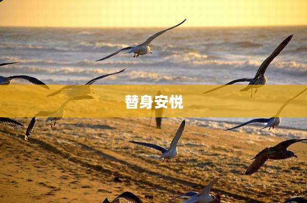 替身安悦