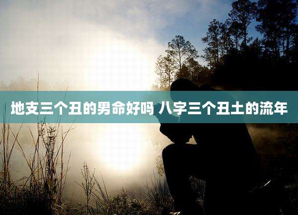 地支三个丑的男命好吗 八字三个丑土的流年