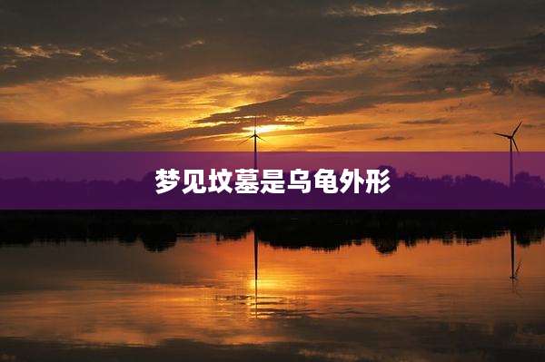 梦见坟墓是乌龟外形