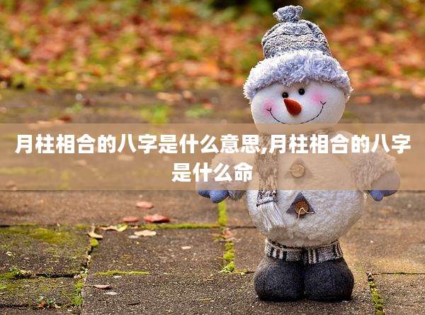 月柱相合的八字是什么意思,月柱相合的八字是什么命