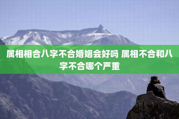 属相相合八字不合婚姻会好吗 属相不合和八字不合哪个严重