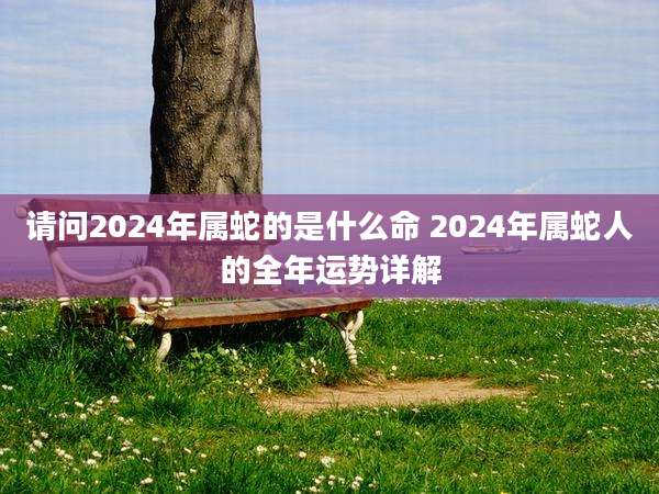 请问2024年属蛇的是什么命 2024年属蛇人的全年运势详解