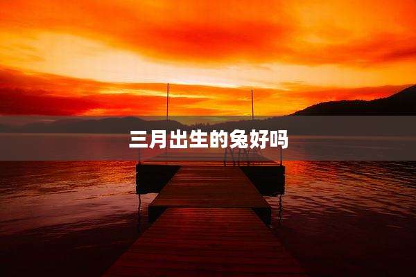 三月出生的兔好吗