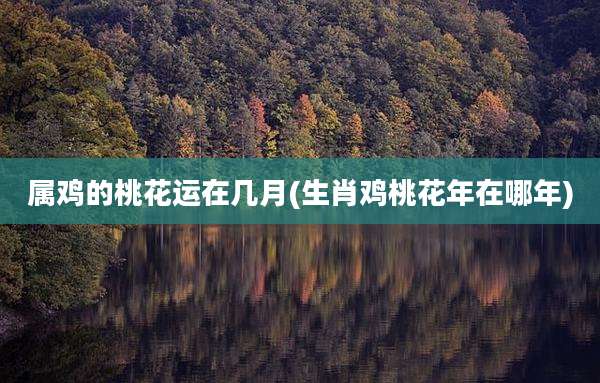 属鸡的桃花运在几月(生肖鸡桃花年在哪年)