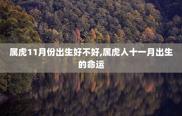 属虎11月份出生好不好,属虎人十一月出生的命运