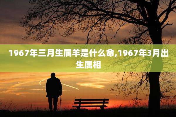 1967年三月生属羊是什么命,1967年3月出生属相