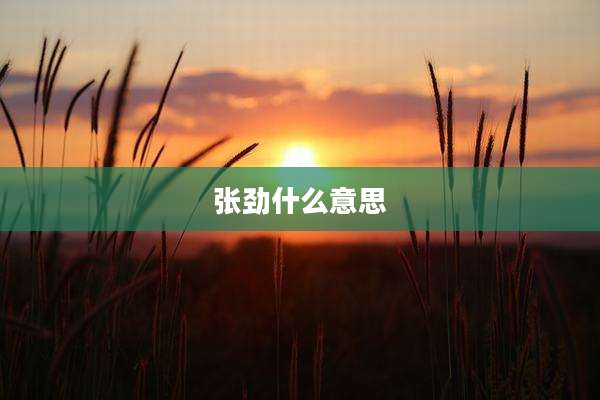 张劲什么意思