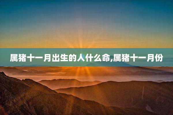 属猪十一月出生的人什么命,属猪十一月份