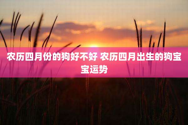 农历四月份的狗好不好 农历四月出生的狗宝宝运势