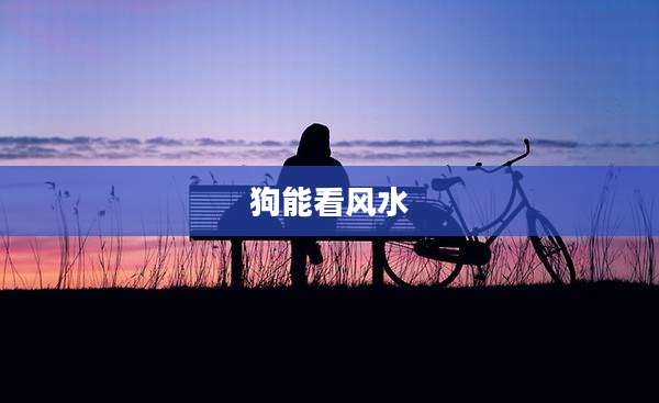 狗能看风水