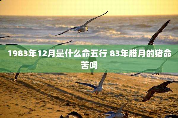 1983年12月是什么命五行 83年腊月的猪命苦吗
