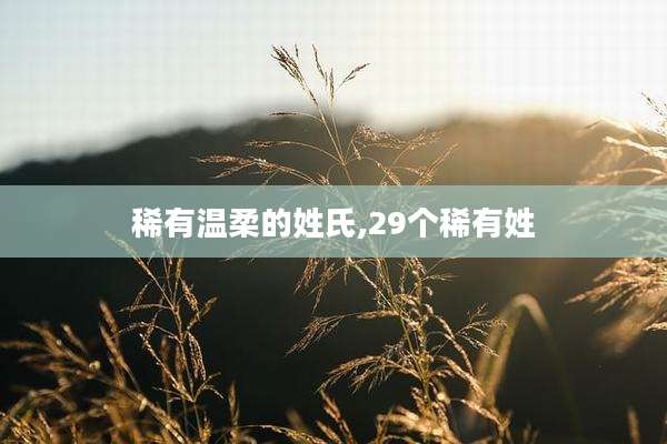 稀有温柔的姓氏,29个稀有姓