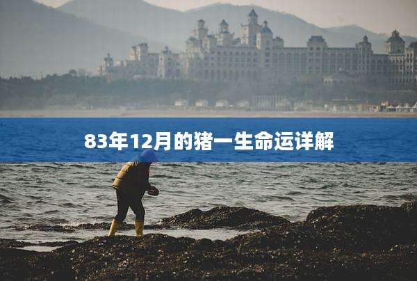 83年12月的猪一生命运详解