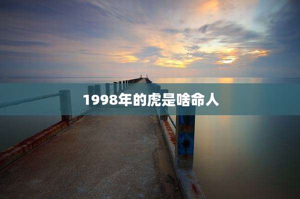 1998年的虎是啥命人