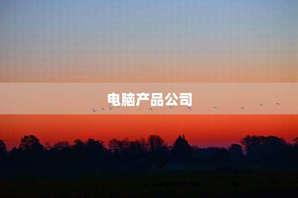电脑产品公司