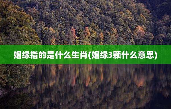 姻缘指的是什么生肖(姻缘3颗什么意思)