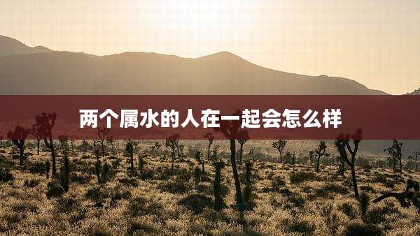 两个属水的人在一起会怎么样