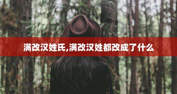 满改汉姓氏,满改汉姓都改成了什么