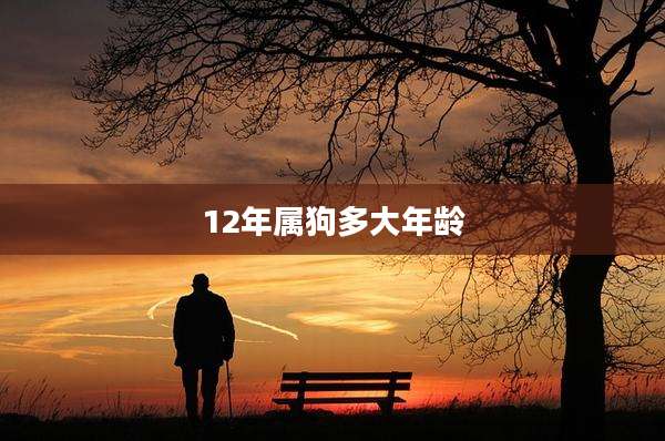 12年属狗多大年龄
